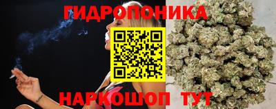 гашишное масло Пушкино