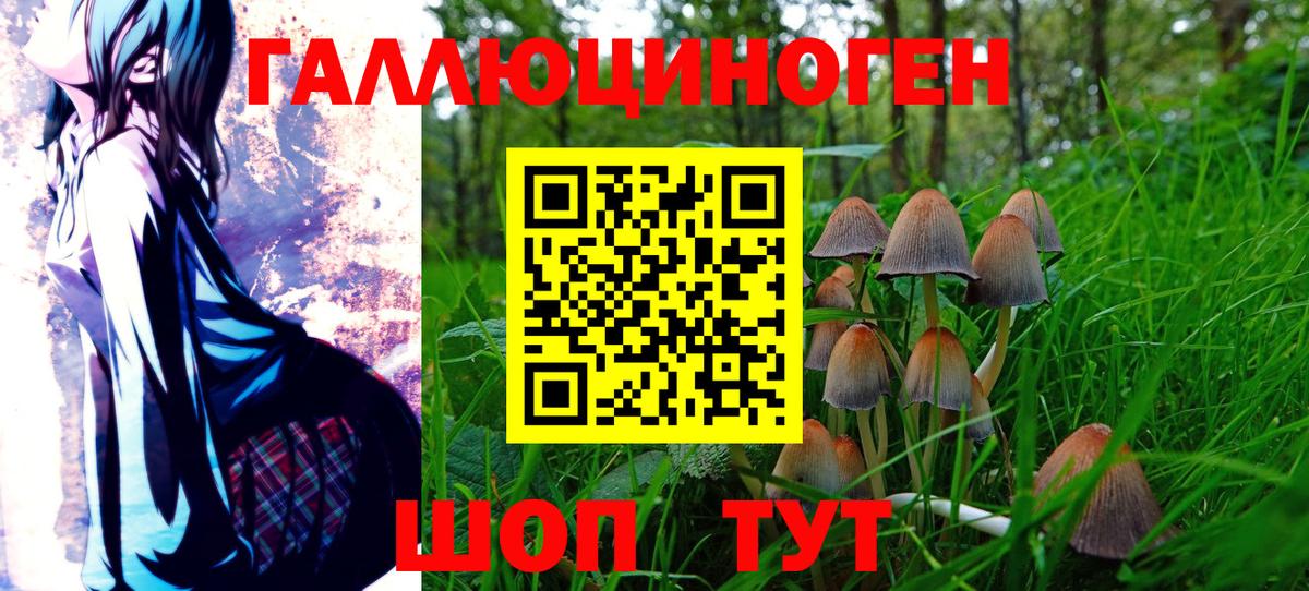 даркнет сайт  Вход с VPN  Галлюциногенные грибы MAGIC MUSHROOMS  Янаул  Псилоцибиновые грибы прущие грибы 
